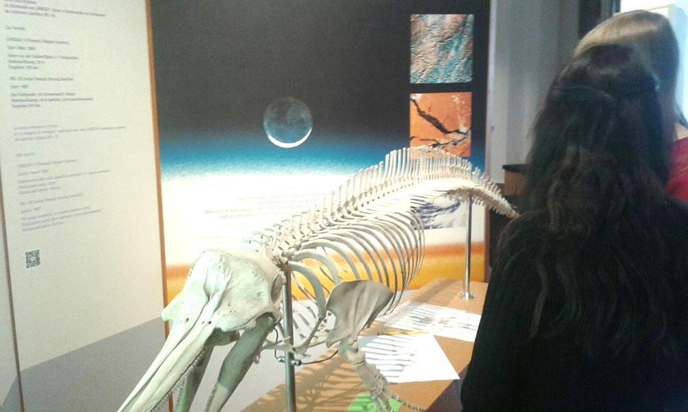 Die Klasse 2A im Naturmuseum Bozen