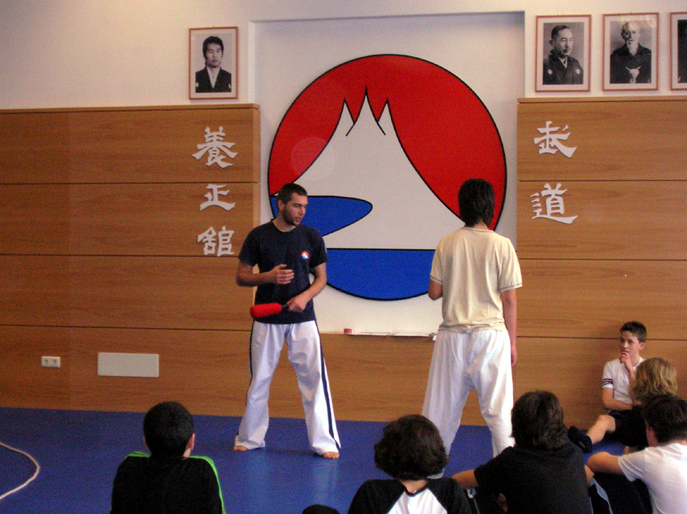 Yoseikan