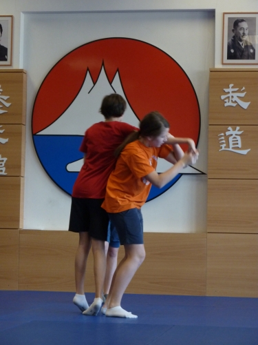 Yoseikan