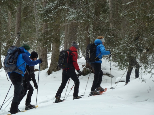 Schneeschuhwanderung