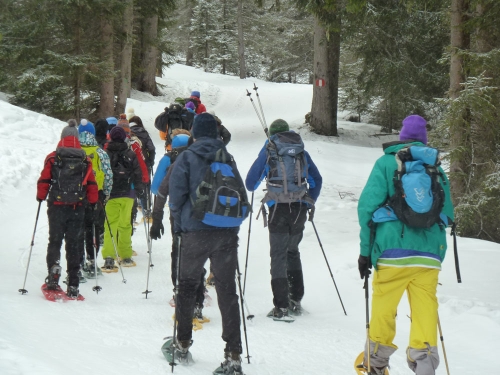 Schneeschuhwanderung
