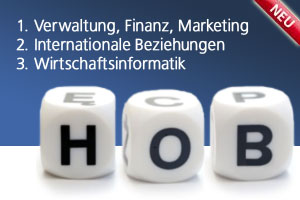 neue_hob